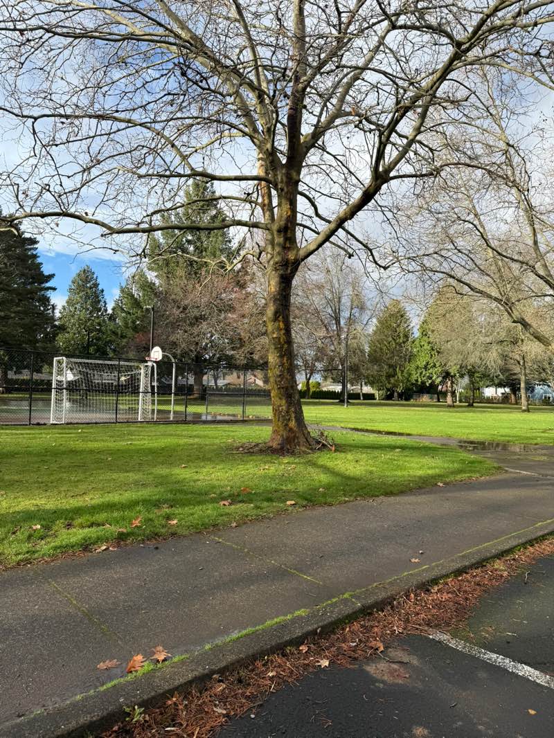 walking near me in Aspen Highlands Park in winter