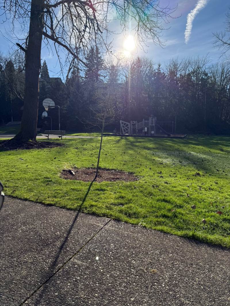 walking near me in Tupper Park in winter