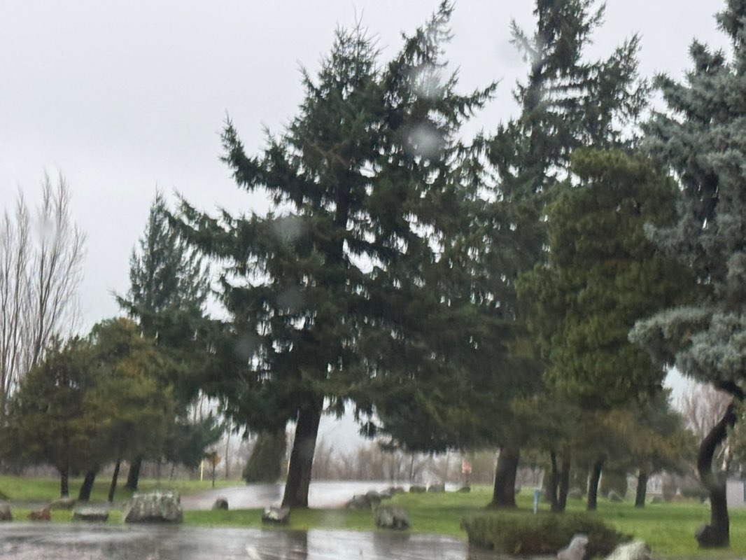 walking near me in Port Marina Park in winter