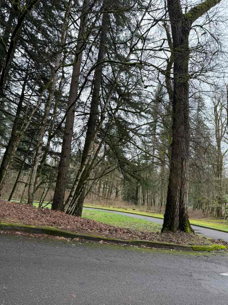 walking near me in Dabney State Recreation Area in winter