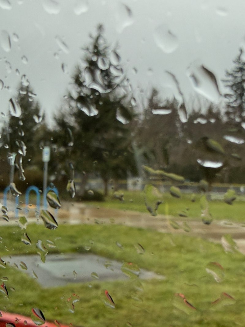 walking near me in Columbia City Park in winter