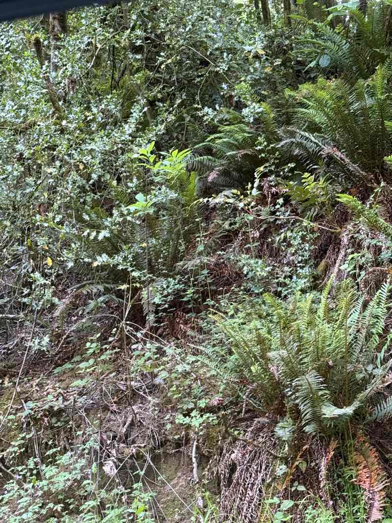 walking near me in South Central Neighborhood Park in summer