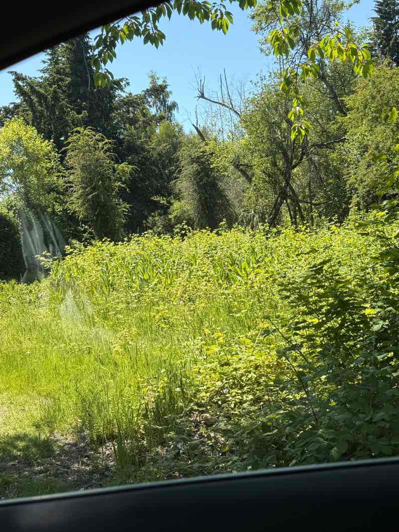 walking near me in Southeast Neighborhood Park in summer