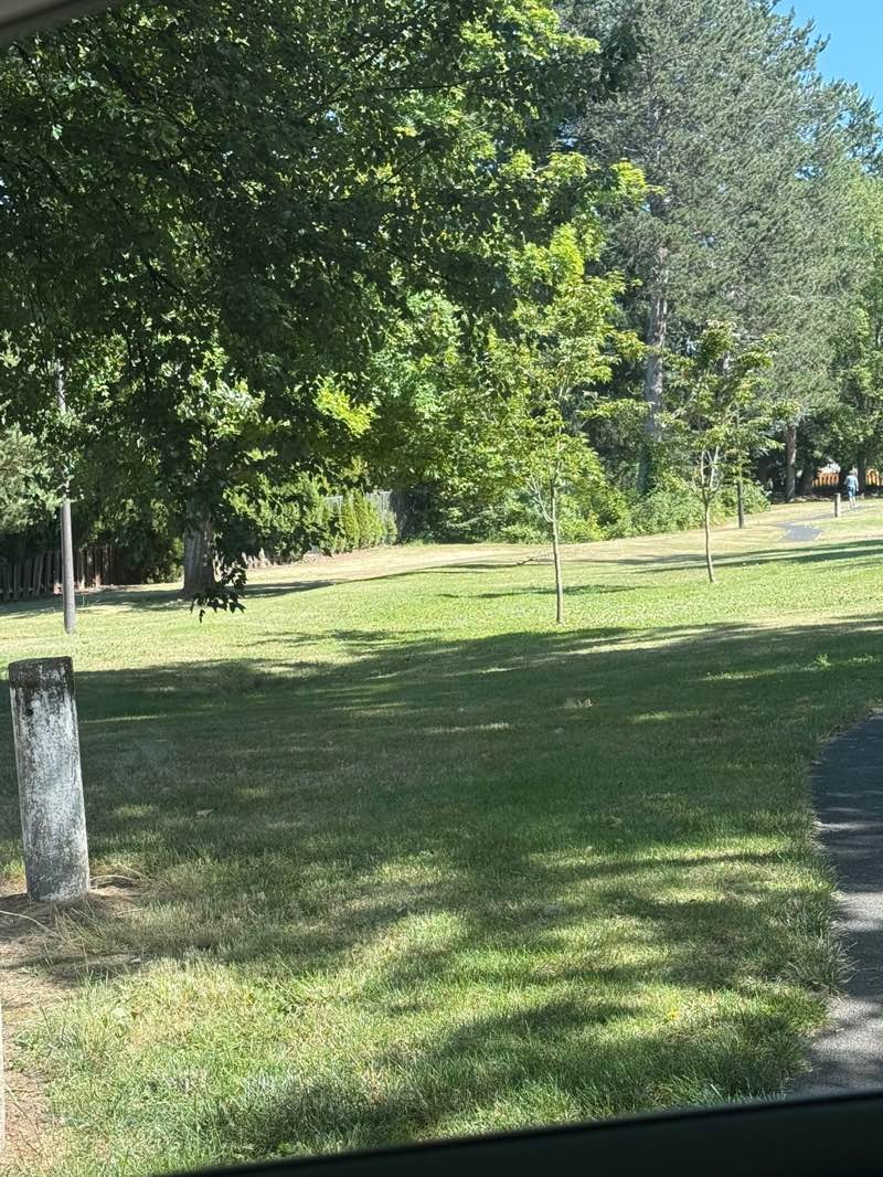 walking near me in Sandee Palisades Park in summer