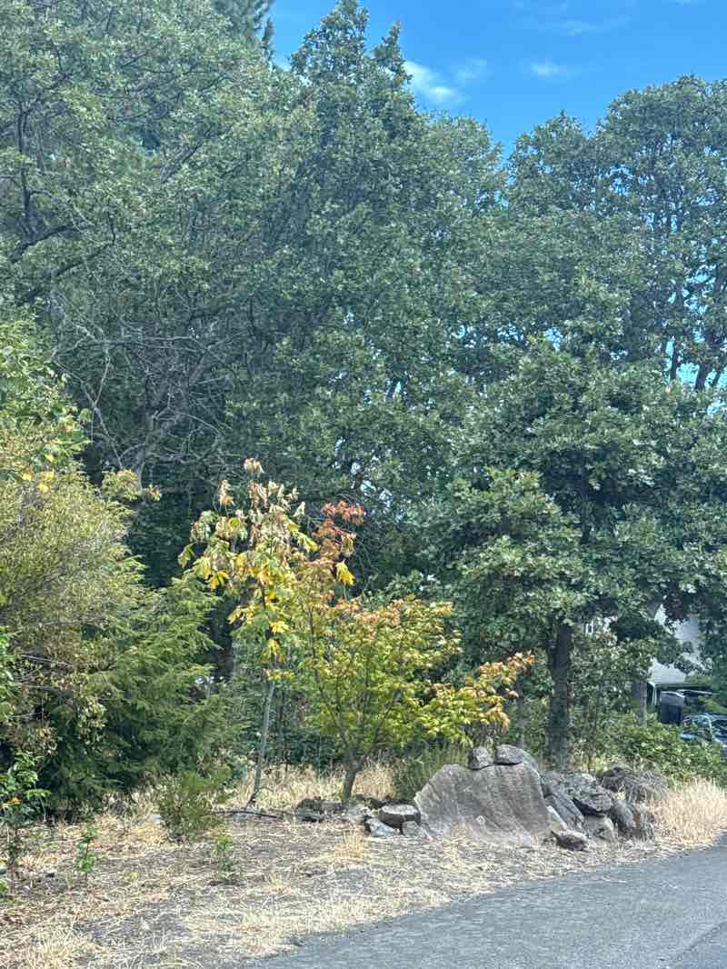 walking near me in Habitat Conservation Area in summer