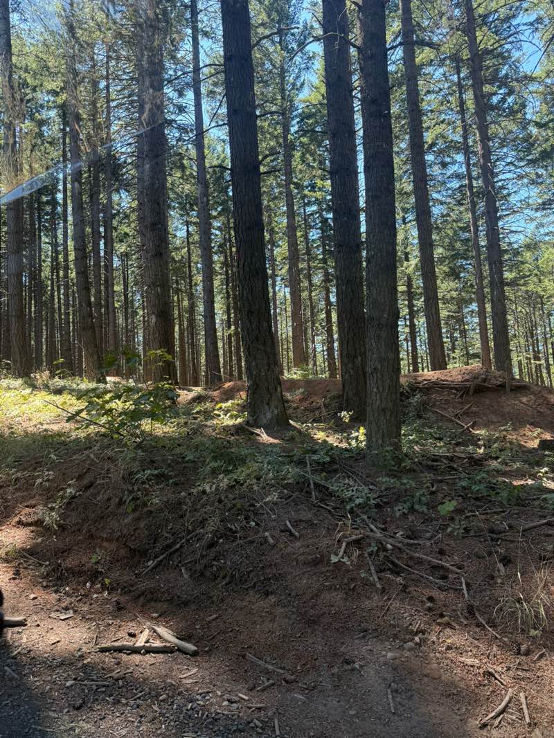 walking near me in Family Man Mountain Bike Skills Park in summer