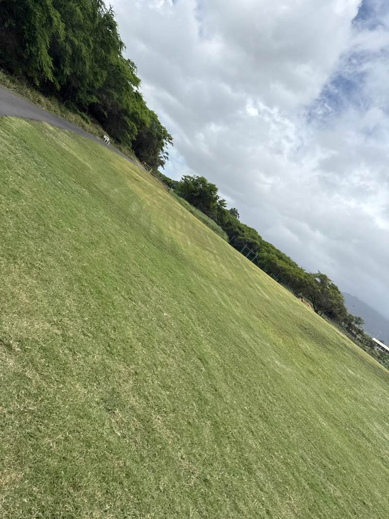 walking near me in Keopuolani Park in summer