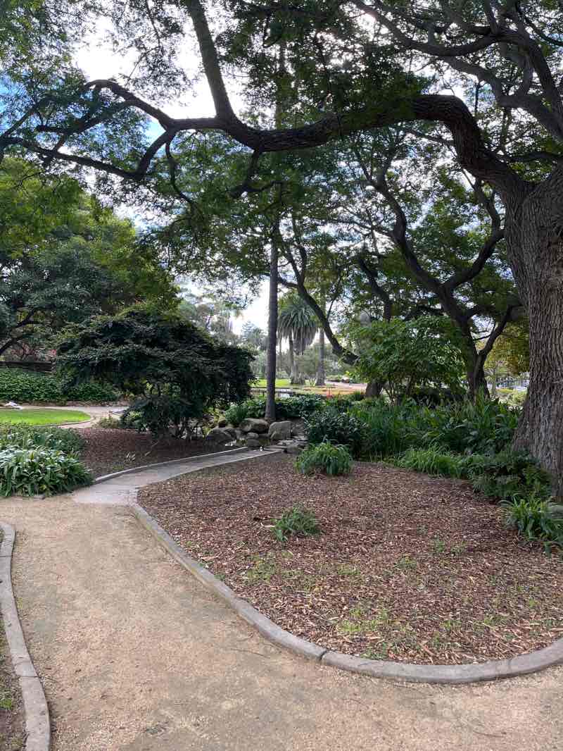 walking near me in Alice Keck Park Memorial Gardens in autumn