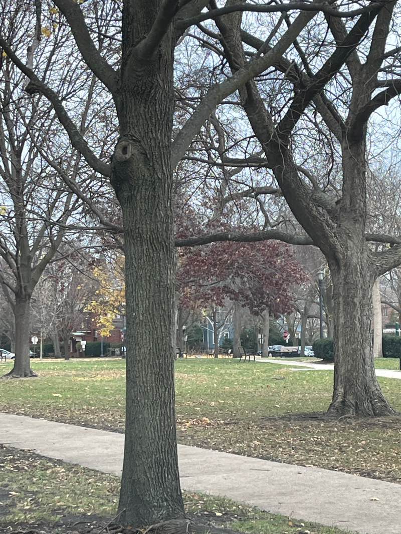 walking near me in Raymond Park in autumn