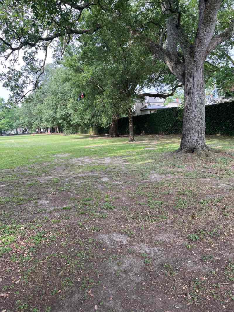 walking near me in Danneel Playground in spring