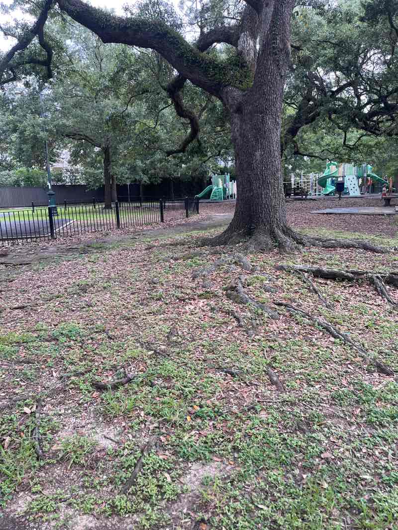 walking near me in Danneel Playground in summer
