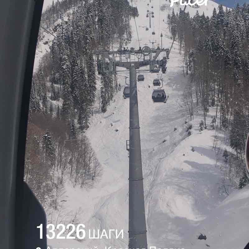 AnnaMart🐯🐯🐯 post 1