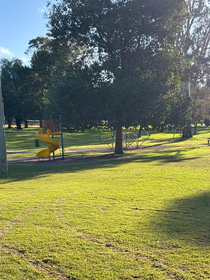 walking near me in Jaycee Park in winter