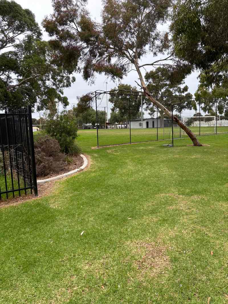 walking near me in Frank Mitchell / Woodville West Reserve in winter