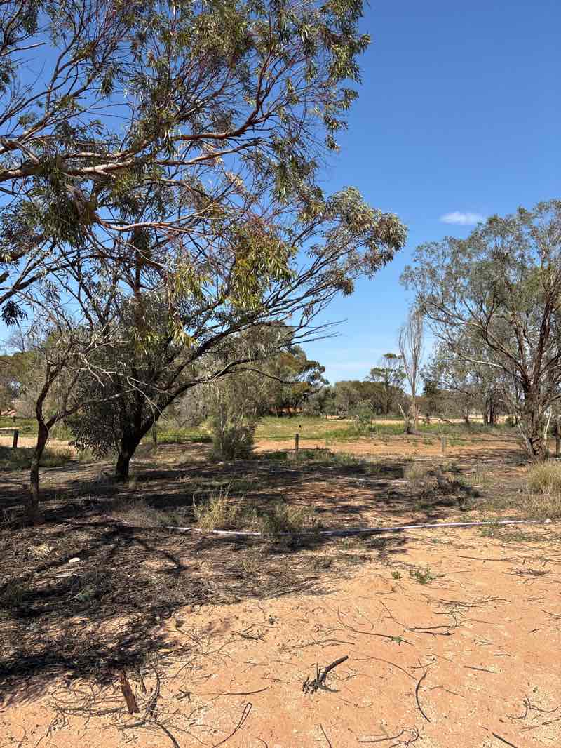 walking near me in Coober Pedy Park in spring