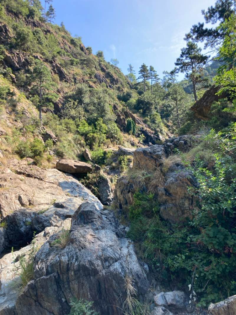 walking near me in Parco Villa Giuseppe Mina in winter