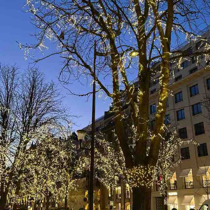 CARPE DIEM Alain-Patrick post image