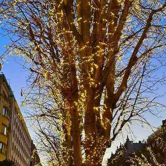 CARPE DIEM Alain-Patrick post image