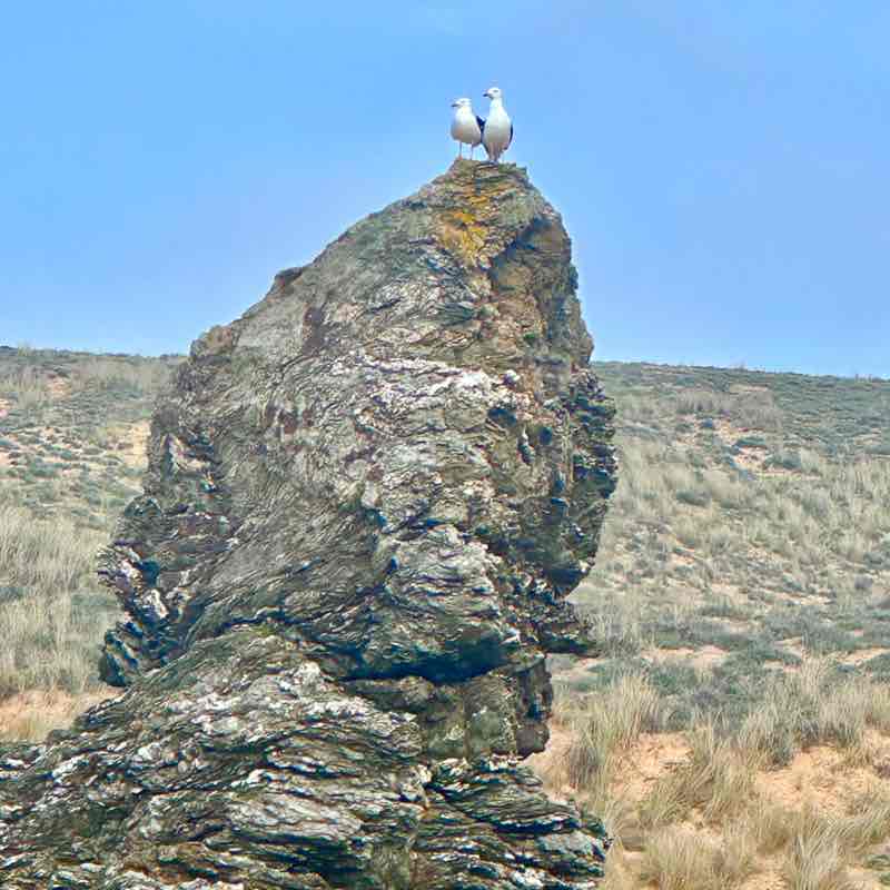 June Steps Challenge Alain-Patrick post image