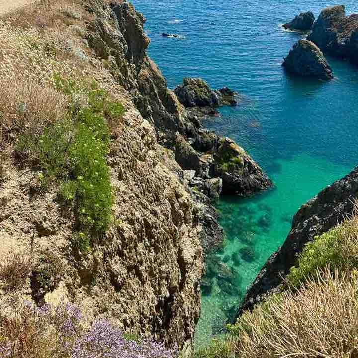 Alain-Patrick post 2