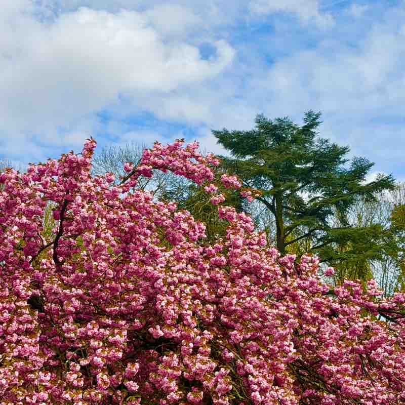 Alain-Patrick post 1