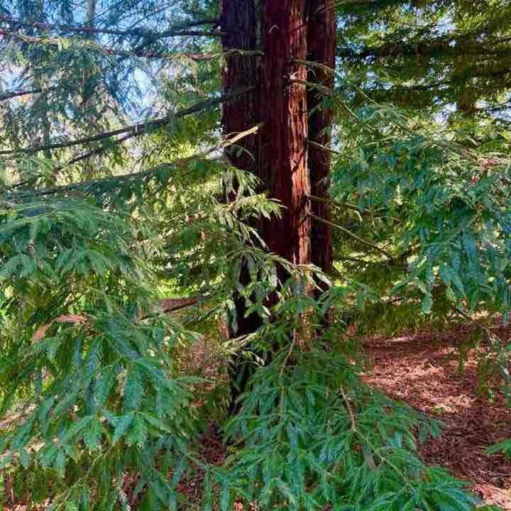 Alain-Patrick post 3