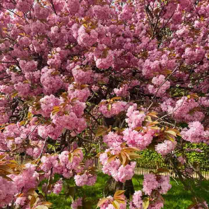 Alain-Patrick post 2