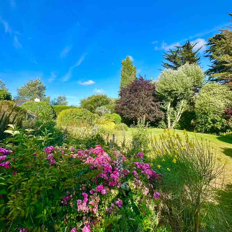 Alain-Patrick post 1