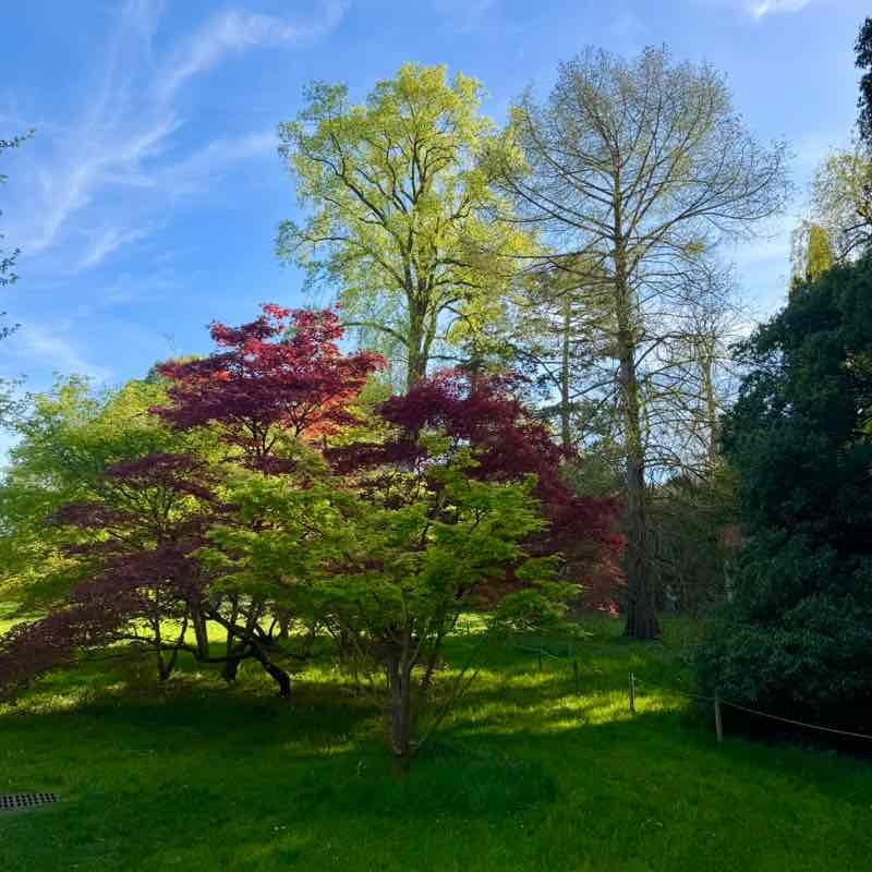 Alain-Patrick post 2