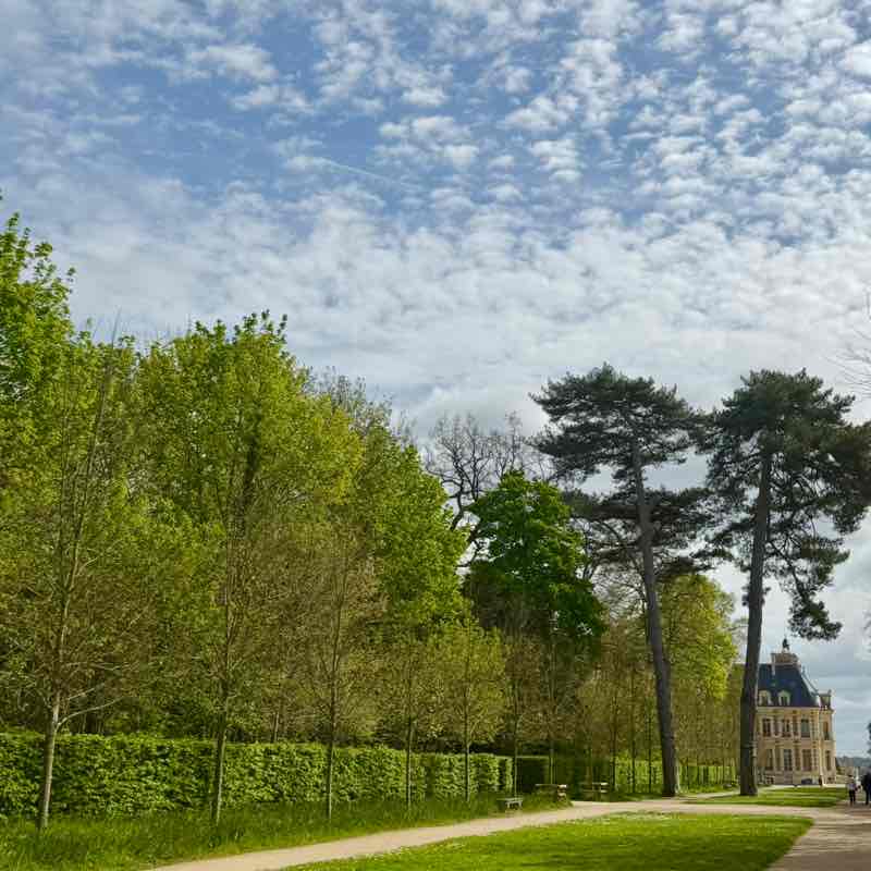 Alain-Patrick post 3