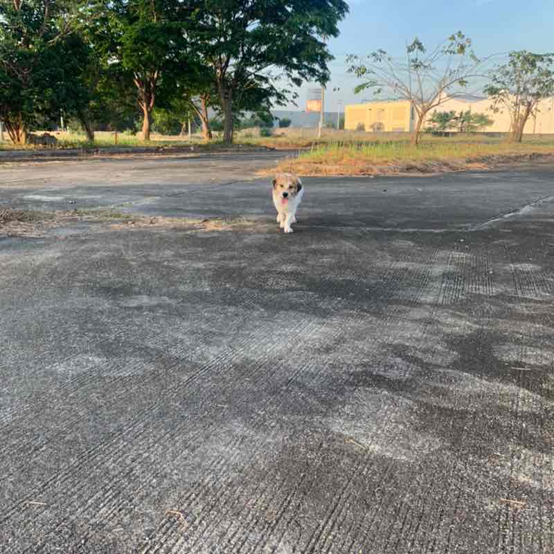 Hakuna Matata post 2