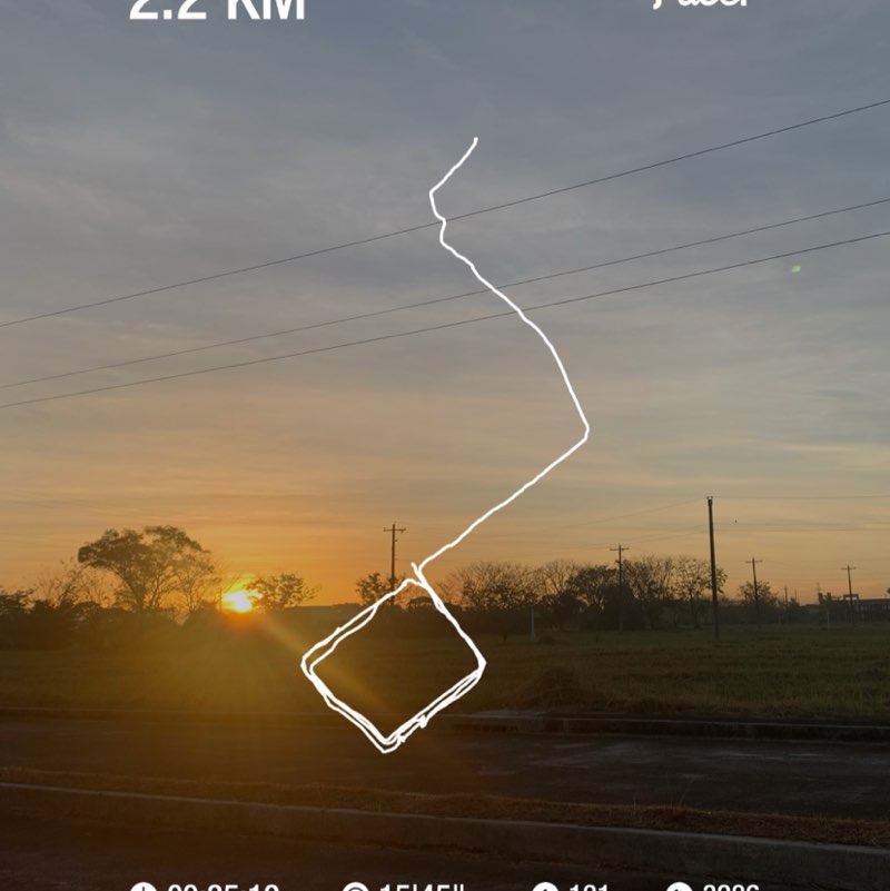 Hakuna Matata post 1