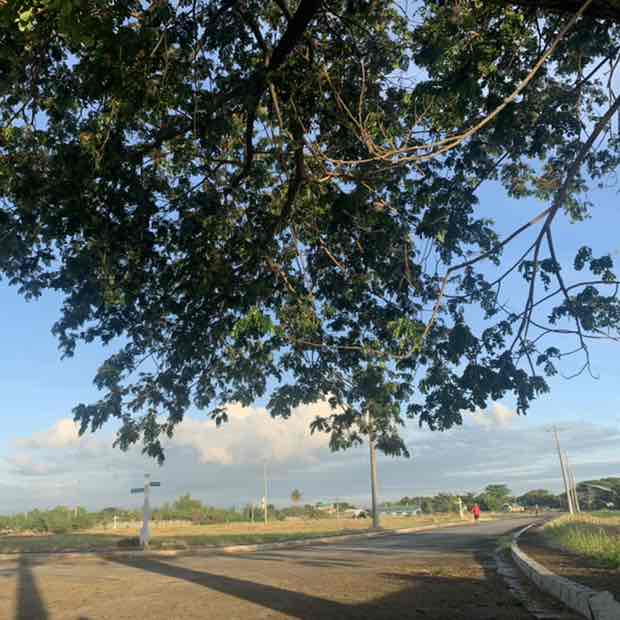 Hakuna Matata post 3