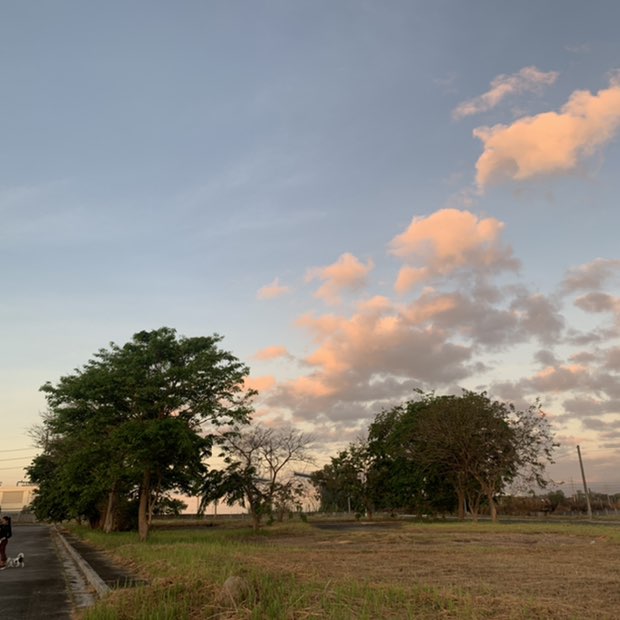 Hakuna Matata post 2