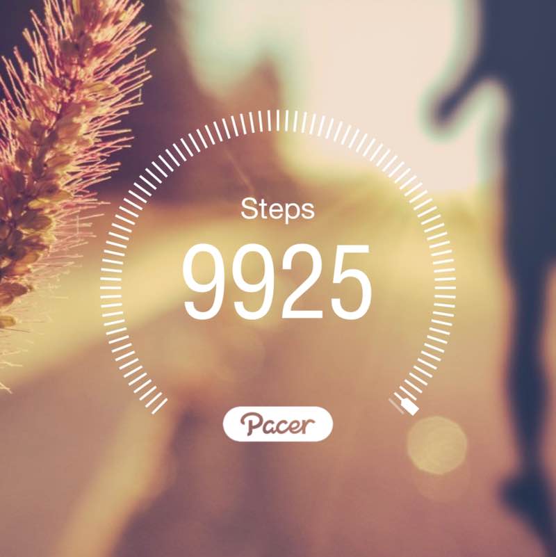 WAITING FOR SPRING Kerry post image