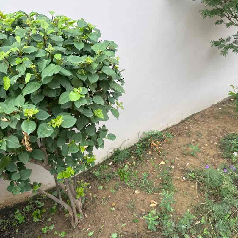 Pankaj post 2