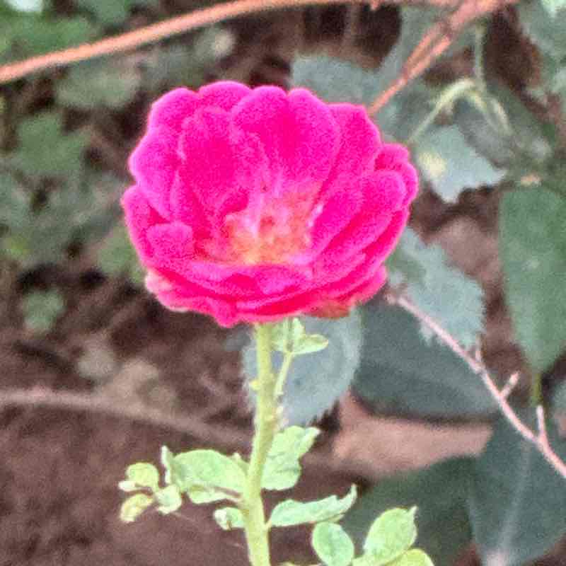 Pankaj post 3