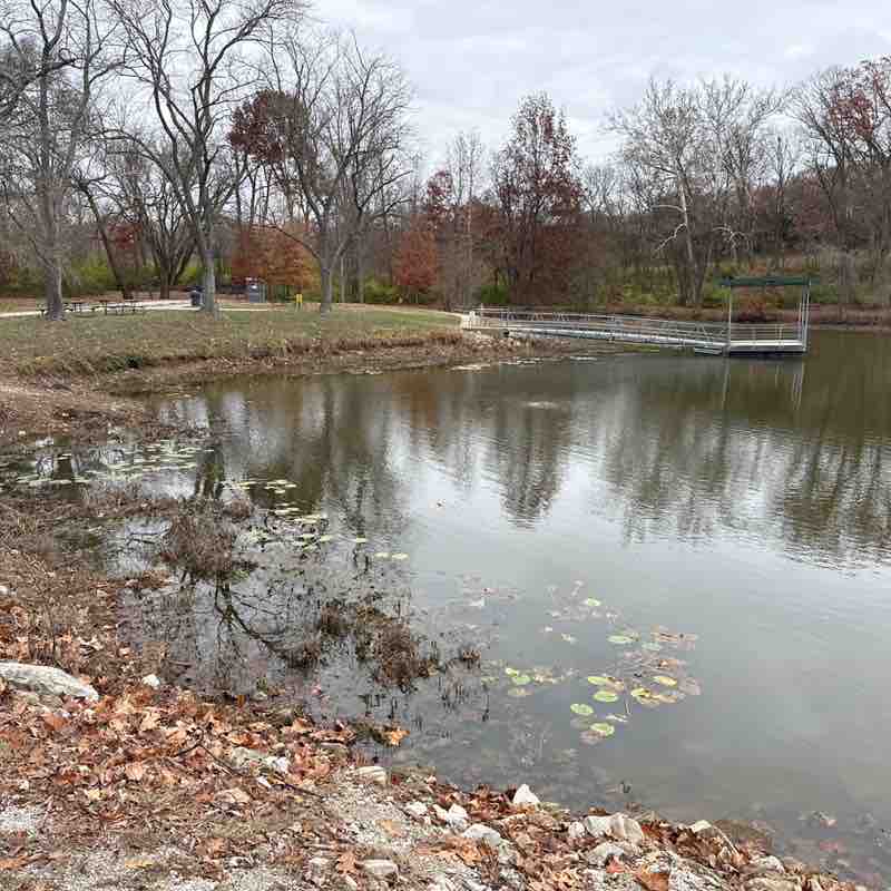 Larkspur 🌺🌼🌻🌸 post 1