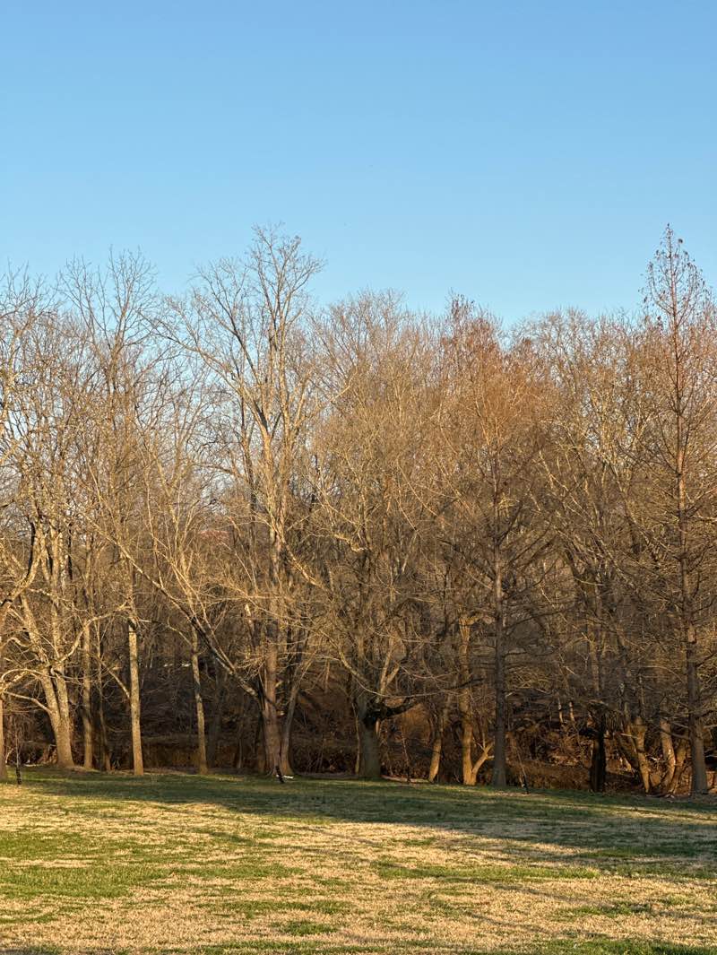 walking near me in Billy Dunlop Park in spring