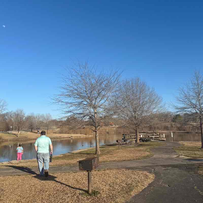 Larkspur 🌺🌼🌻🌸 post 1