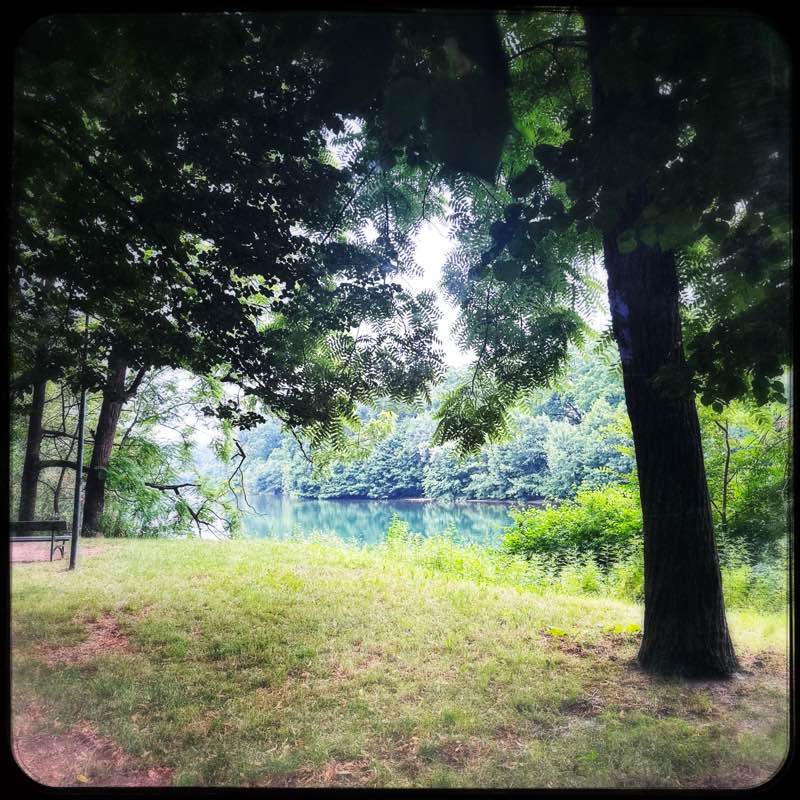 walking near me in Parco Michelotti in winter