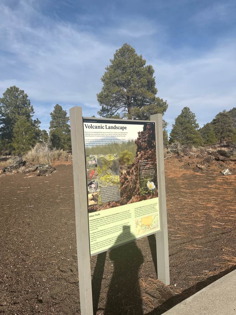 walking near me in Sunset Crater Volcano National Monument in autumn