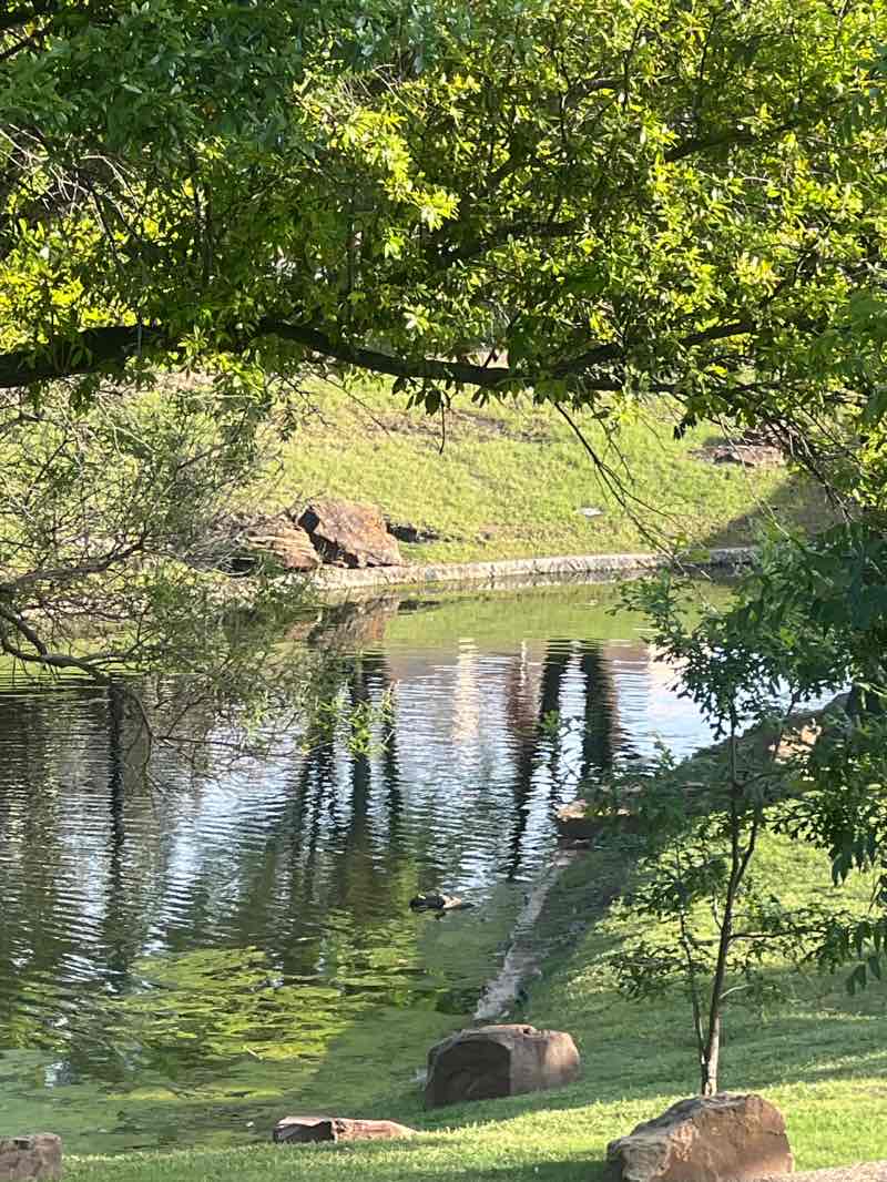 walking near me in Central Park in spring