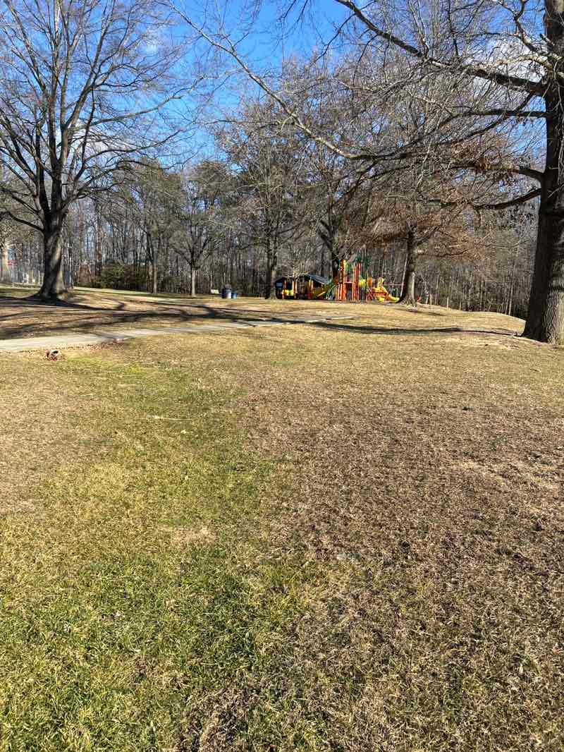 walking near me in Andrew Leitch Park in winter