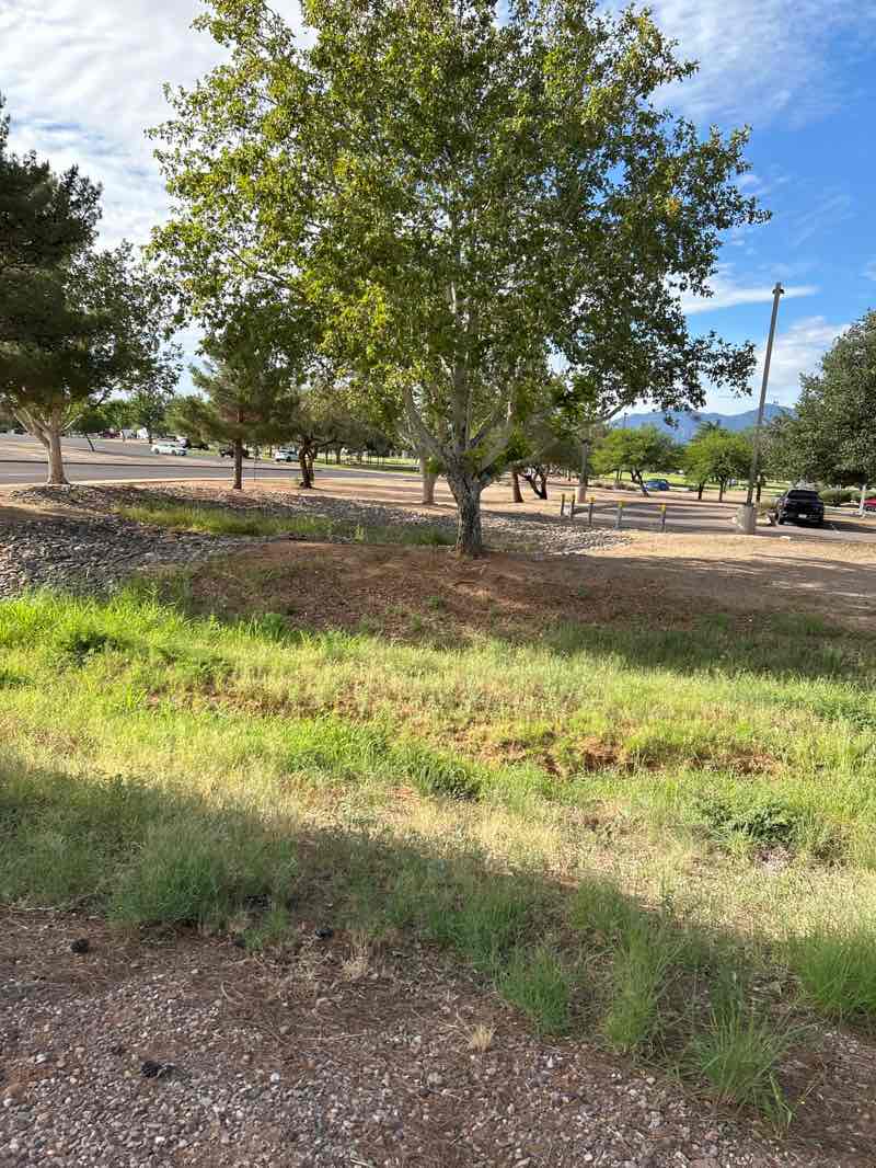 walking near me in Veterans' Memorial Park in autumn