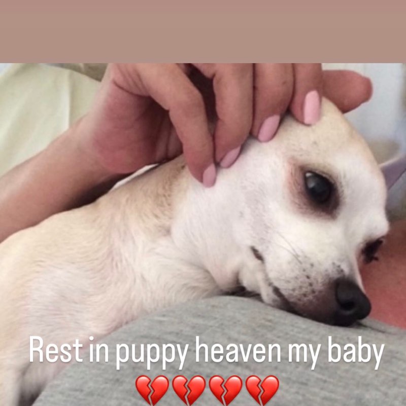 🧿🍉Bella🍉 🧿 post 3