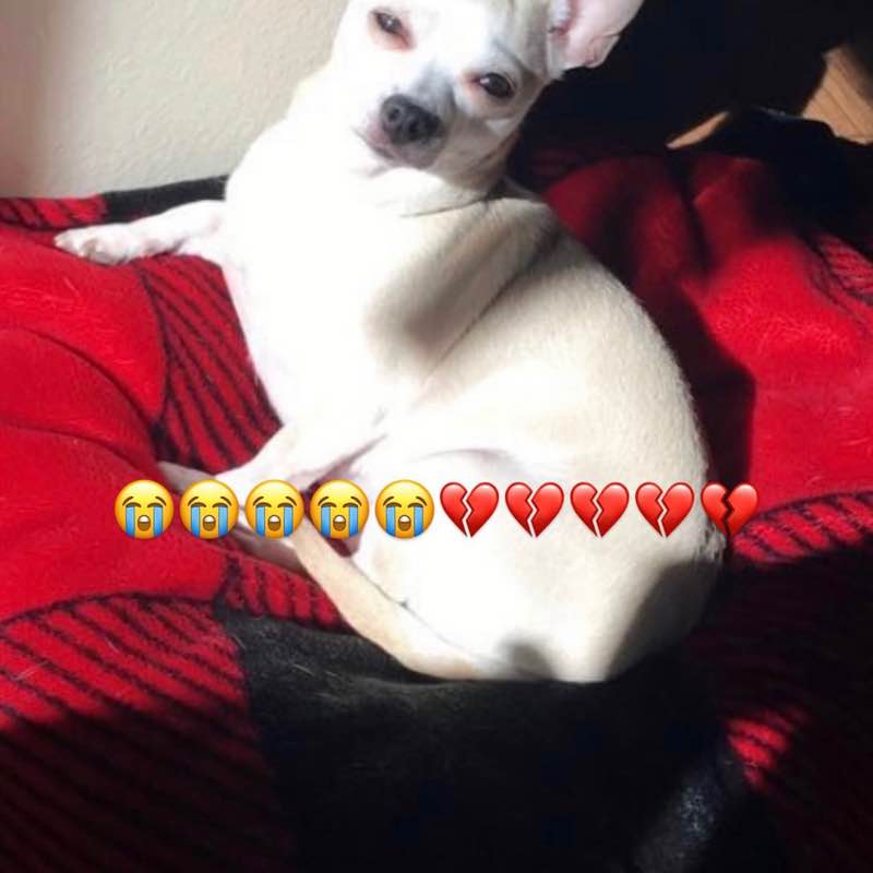 🧿🍉Bella🍉 🧿 post 1