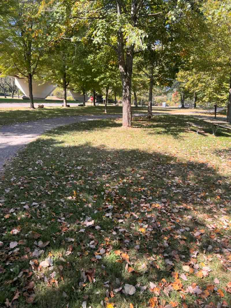 walking near me in Milton State Park in autumn