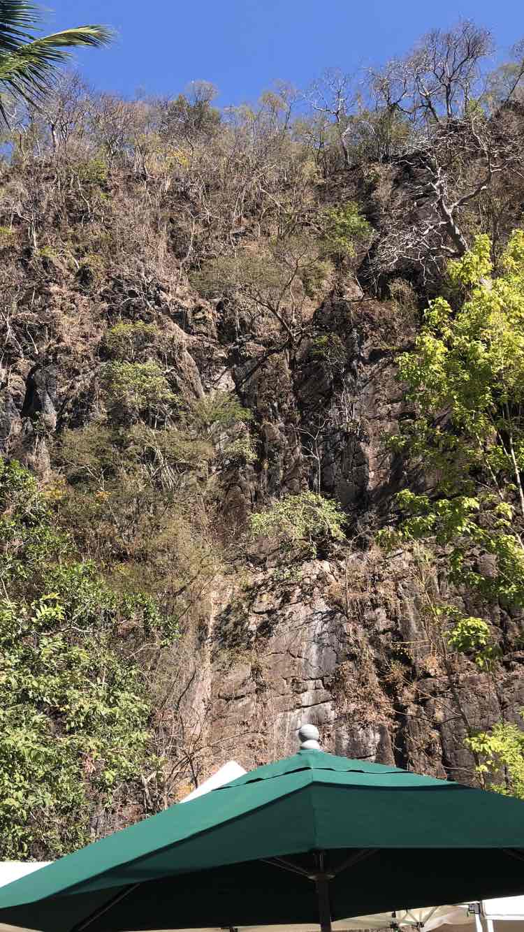 walking near me in Isla Rio Cuale in winter