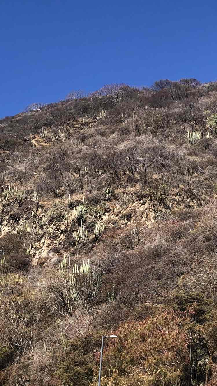 walking near me in Chulavista Country Club in winter